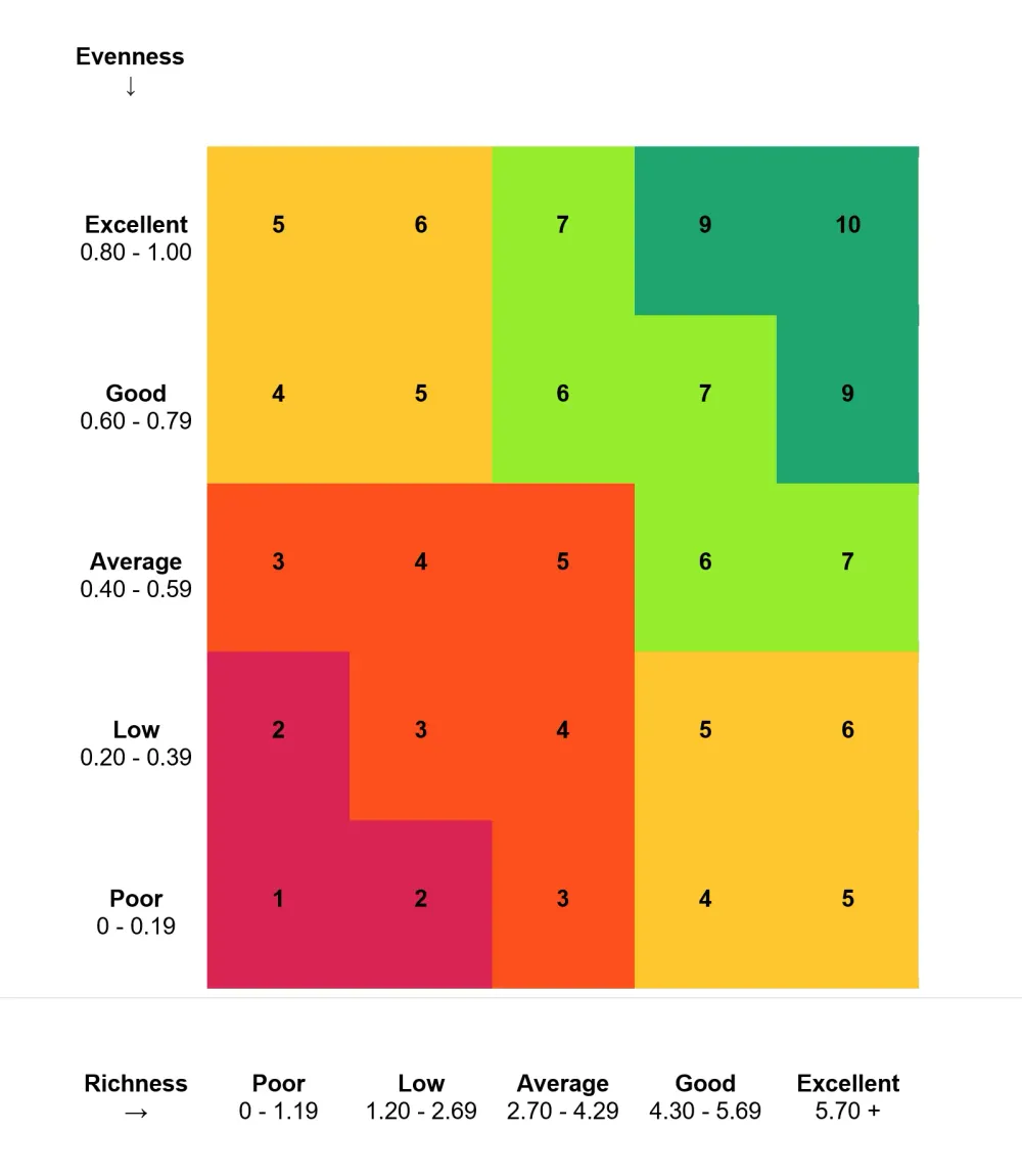 A scoring chart based on two different values on the X and Y axes.